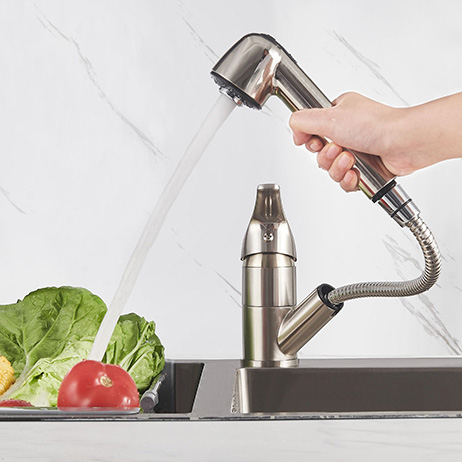 Grifo de cocina cromado con ducha integrada